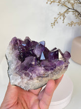 Load image into Gallery viewer, Amethyst High-Grade Natural Crystal Cluster A460
