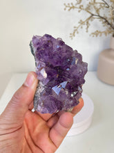 Load image into Gallery viewer, Amethyst High-Grade Natural Crystal Cluster A461
