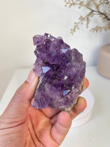 Amethyst High-Grade Natural Crystal Cluster A461