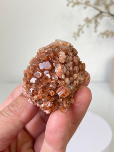 Aragonite Natural Cluster Morocco AR12