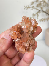 Load image into Gallery viewer, Aragonite Natural Cluster Morocco AR13
