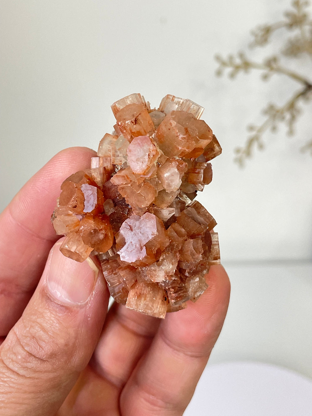 Aragonite Natural Cluster Morocco AR13
