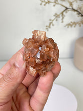 Load image into Gallery viewer, Aragonite Natural Cluster Morocco AR17
