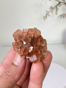 Aragonite Natural Cluster Morocco AR17