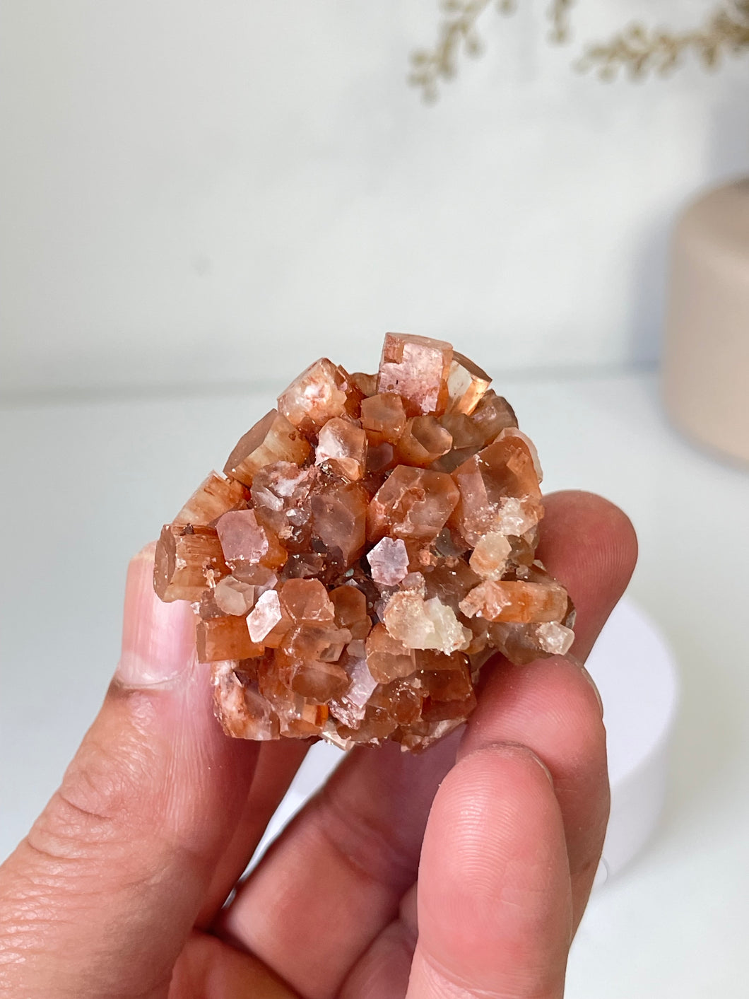 Aragonite Natural Cluster Morocco AR19