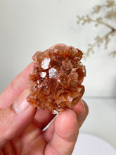 Load image into Gallery viewer, Aragonite Natural Cluster Morocco AR19

