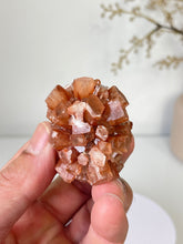 Load image into Gallery viewer, Aragonite Natural Cluster Morocco AR19
