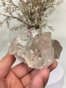 Himalayan Quartz High-Grade Natural Cluster Q371a
