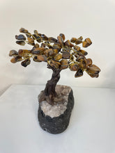 Load image into Gallery viewer, Tiger Eye Gem Tree (L) TR063
