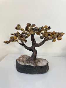 Tiger Eye Gem Tree (L) TR063