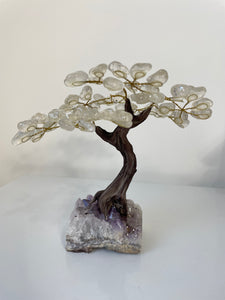 Quartz Gem Tree (M) TR066