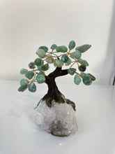 Load image into Gallery viewer, Amazonite Gem Tree (S) TR069
