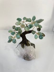 Amazonite Gem Tree (S) TR069
