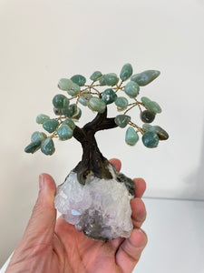 Amazonite Gem Tree (S) TR069