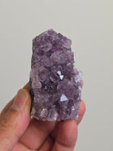 Load image into Gallery viewer, Amethyst Crystal Cluster | Raw Natural Stone from India A523
