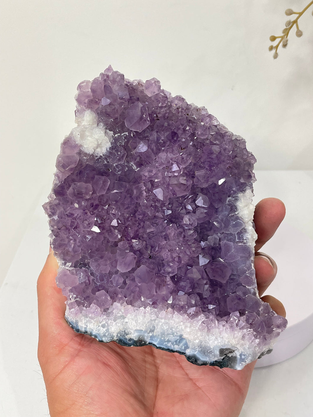Amethyst Natural Crystal Cluster A475
