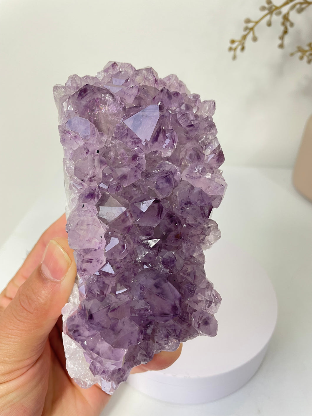 Amethyst Natural Crystal Cluster A467