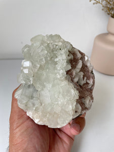 Apophyllite Natural Cluster AP760a