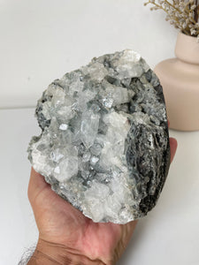 Apophyllite Natural Cluster AP775a