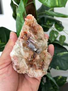 Green Apophyllite Natural Cluster AP484a