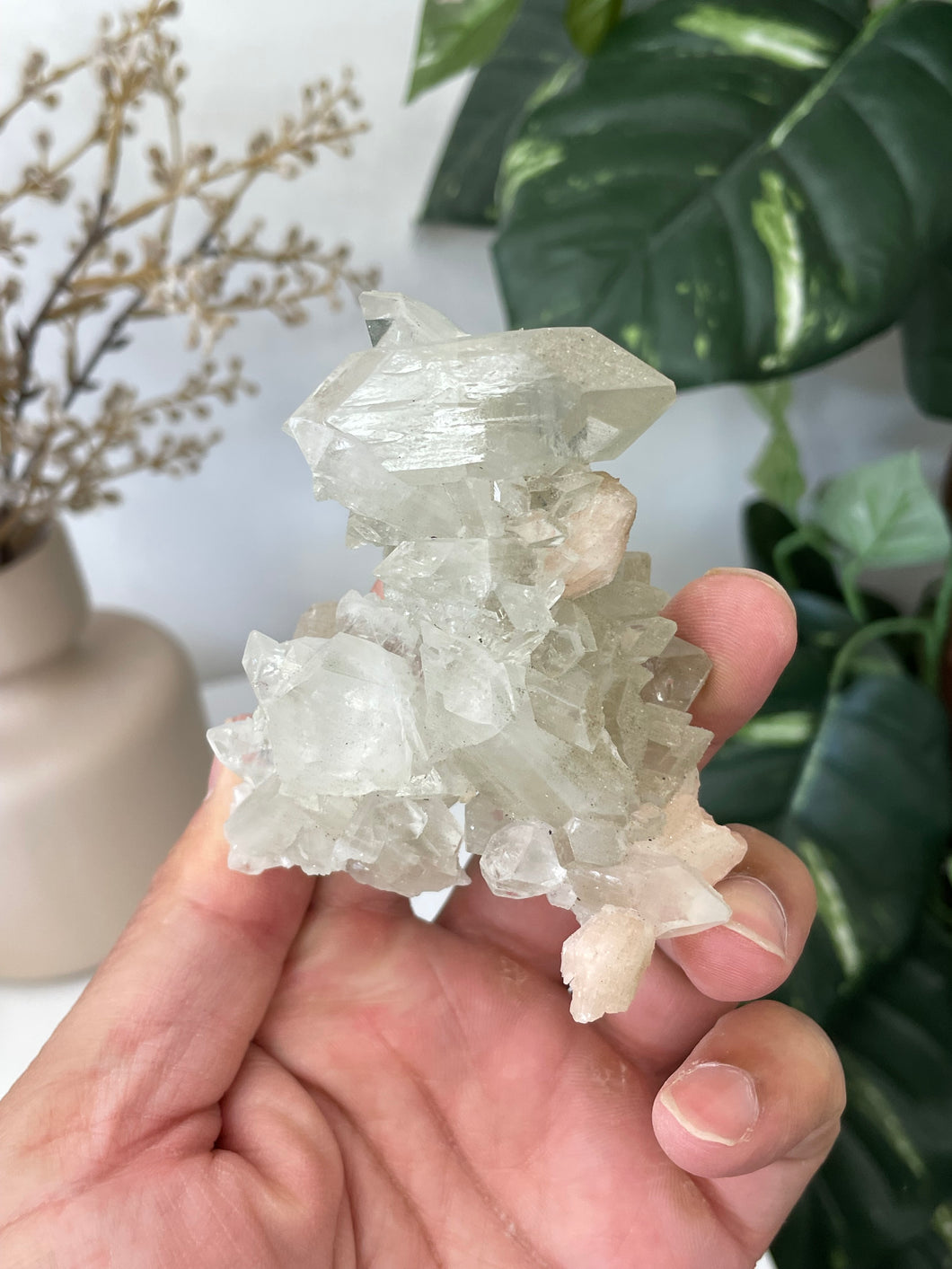 Stalactite Apophyllite cluster pointed DT Crystal AP509a