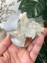 Load image into Gallery viewer, Stalactite Apophyllite cluster pointed DT Crystal AP509a
