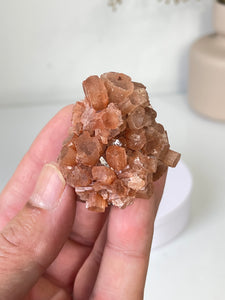 Aragonite Natural Cluster Morocco AR23