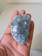 Load image into Gallery viewer, Celestite Crystal Cluster CL024
