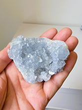 Load image into Gallery viewer, Celestite Crystal Cluster CL027
