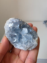 Load image into Gallery viewer, Celestite Crystal Cluster CL029

