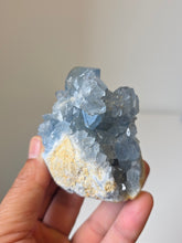 Load image into Gallery viewer, Celestite Crystal Cluster CL030
