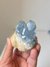 Load image into Gallery viewer, Celestite Crystal Cluster CL030
