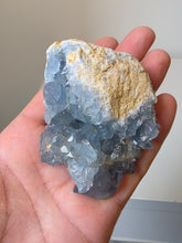 Load image into Gallery viewer, Celestite Crystal Cluster CL030
