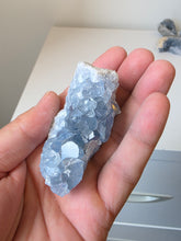 Load image into Gallery viewer, Celestite Crystal Cluster CL033
