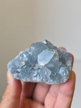 Load image into Gallery viewer, Celestite Crystal Cluster CL024

