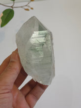 Load image into Gallery viewer, Chlorite Green Phantom Himalayan Quartz Crystal Q428a
