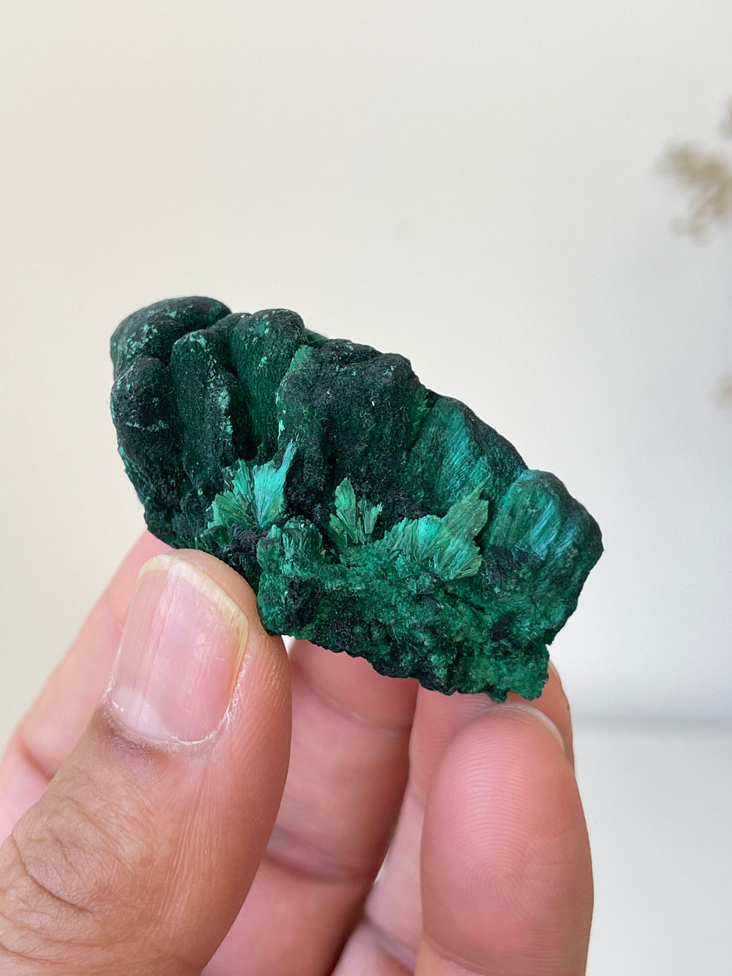 Raw Velvet Malachite Natural High Grade ML095