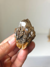 Load image into Gallery viewer, Kundalini Citrine Natural Crystal C026
