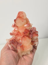 Load image into Gallery viewer, Red-Orange Stilbite Natural Crystal Cluster Rare AP778a
