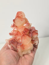 Load image into Gallery viewer, Red-Orange Stilbite Natural Crystal Cluster Rare AP778a
