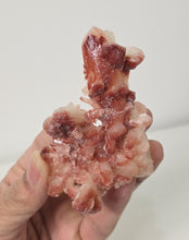 Load image into Gallery viewer, Red-Orange Stilbite Natural Crystal Cluster Rare AP788a
