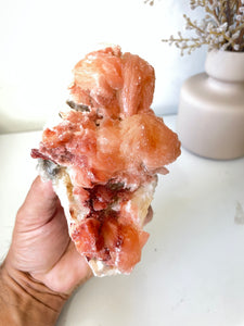 Orange-Red Stilbite Natural Cluster Rare AP517a
