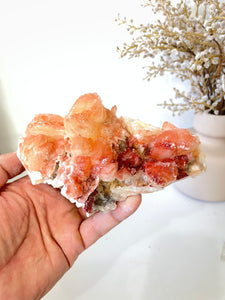 Orange-Red Stilbite Natural Cluster Rare AP517a