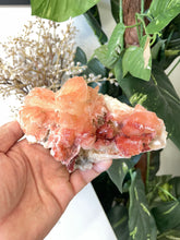 Load image into Gallery viewer, Orange-Red Stilbite Natural Cluster Rare AP517a
