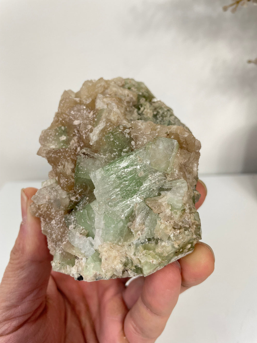 Green Apophyllite Natural Cluster AP635a