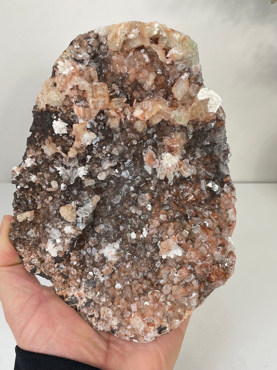 Apophyllite Natural Cluster AP643a
