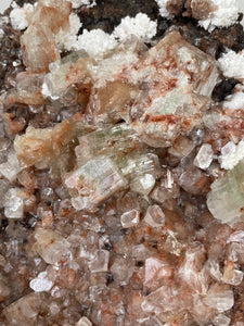 Apophyllite Natural Cluster AP645a