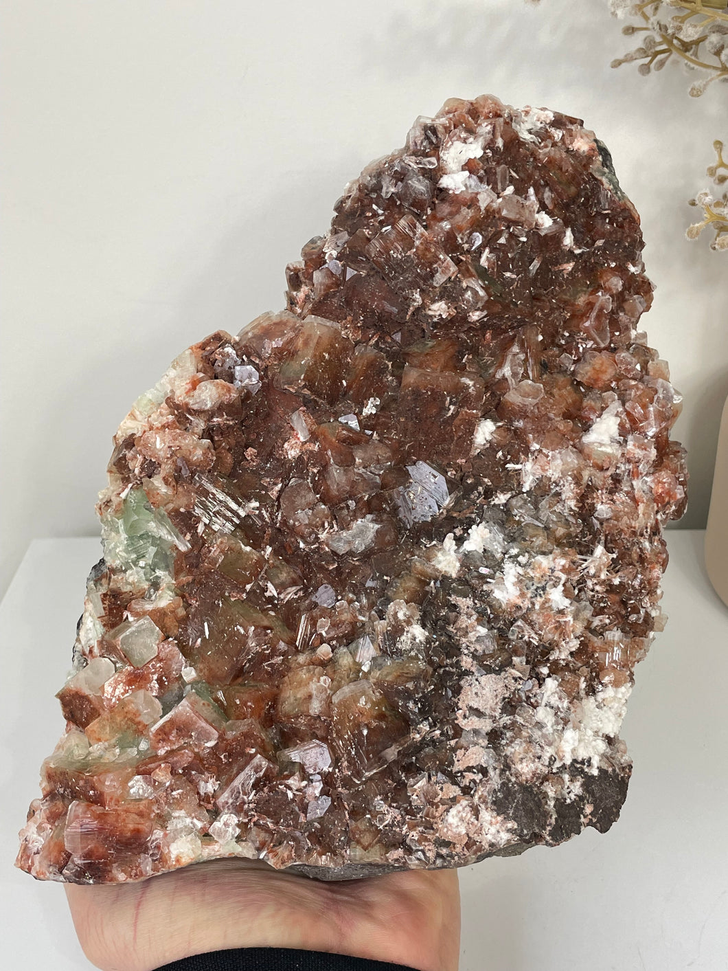 Apophyllite Natural Cluster AP646a