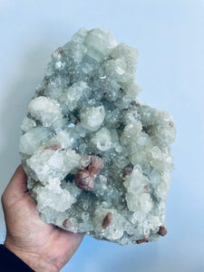Apophyllite High Grade  Cluster AP156A