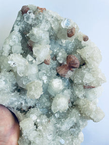 Apophyllite High Grade  Cluster AP156A
